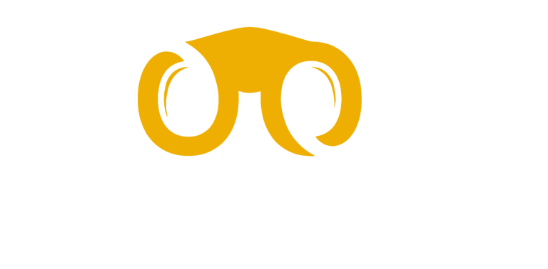 Voom Agency